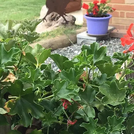 Casa Maddalena Apartment *